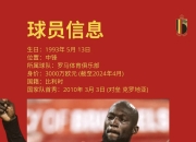 半岛体育登入-砥砺前行，欧洲国家队热血飞扬